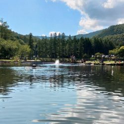 真夏の平谷は難しい ～平谷湖フィッシングスポット～